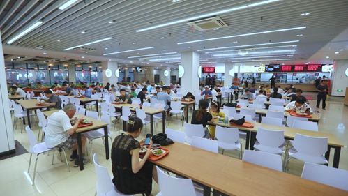 開學(xué)必看 校園食品安全與紡織品選購(gòu)指南