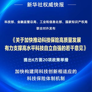 四部門聯(lián)合發(fā)力，以二十項(xiàng)舉措推動(dòng)科技保險(xiǎn)高質(zhì)量發(fā)展——信息技術(shù)咨詢服務(wù)迎來(lái)新契機(jī)